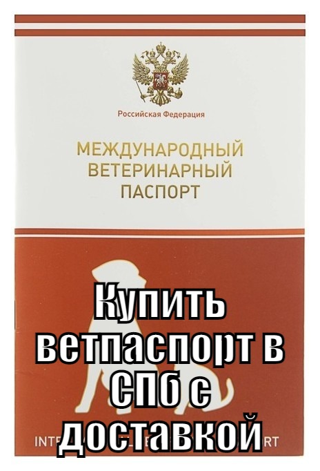 Купить ветеринарный паспорт с прививками в СПб срочно